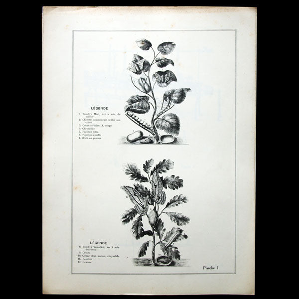 Théorie du Tissage des Etoffes de Soie par Jean Loir (1923)